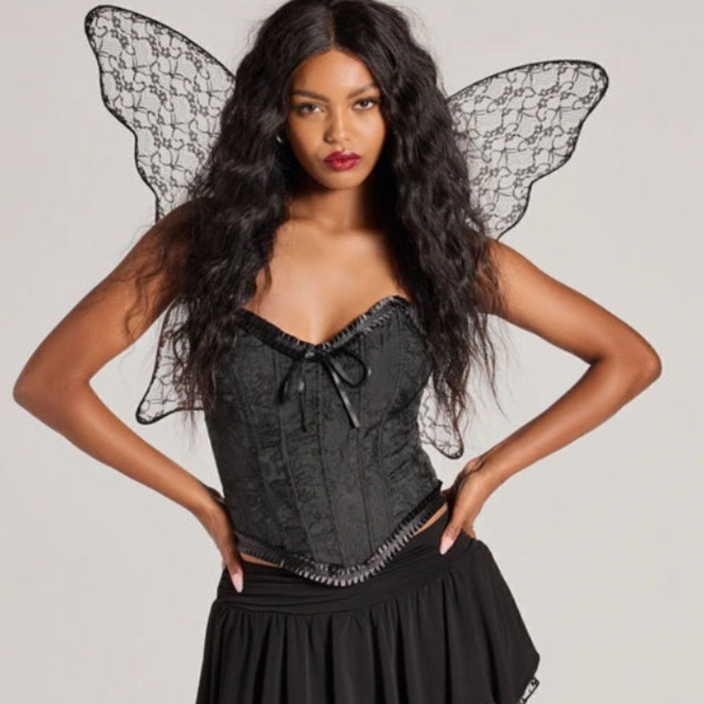 Cosplay Fantasy Sheer Lace Wings